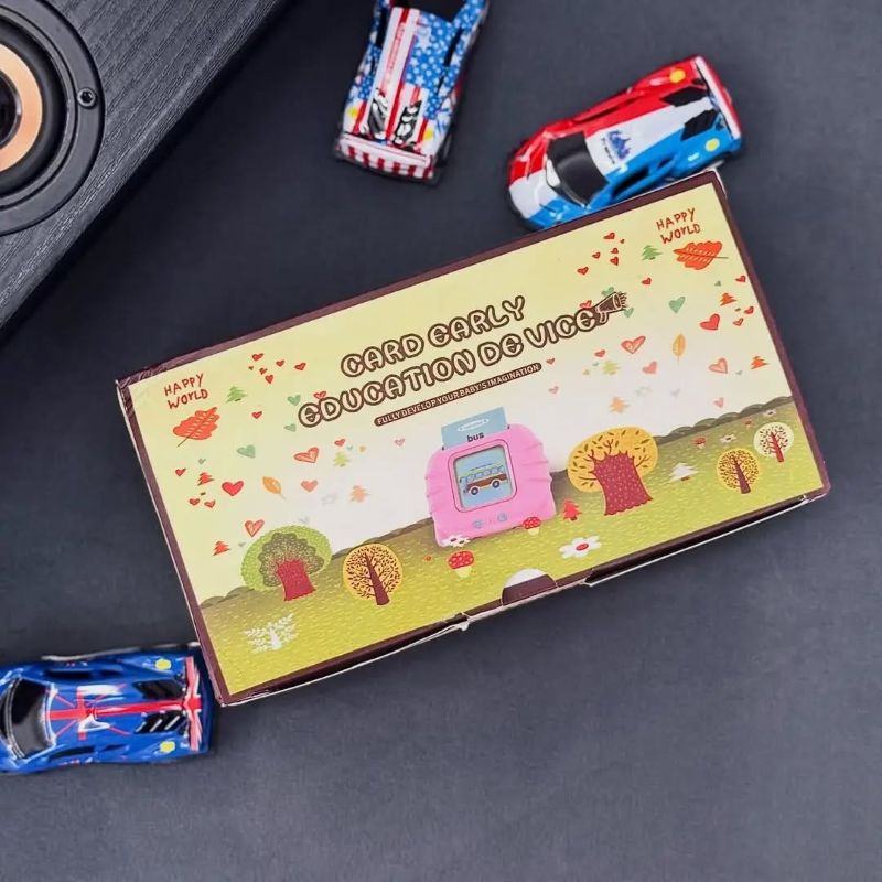 Talking Flash Card Learning Toy